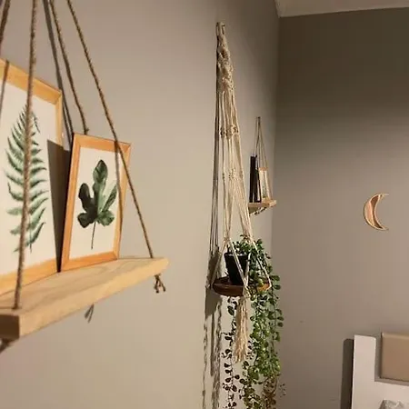 Cozy, Stylish, And Spacious In Central