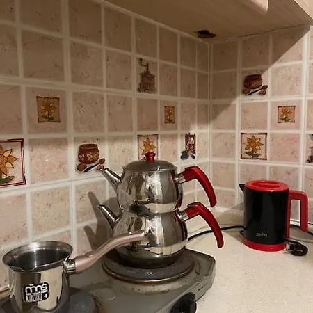 Daire Cozy, Stylish, And Spacious In Central İzmir